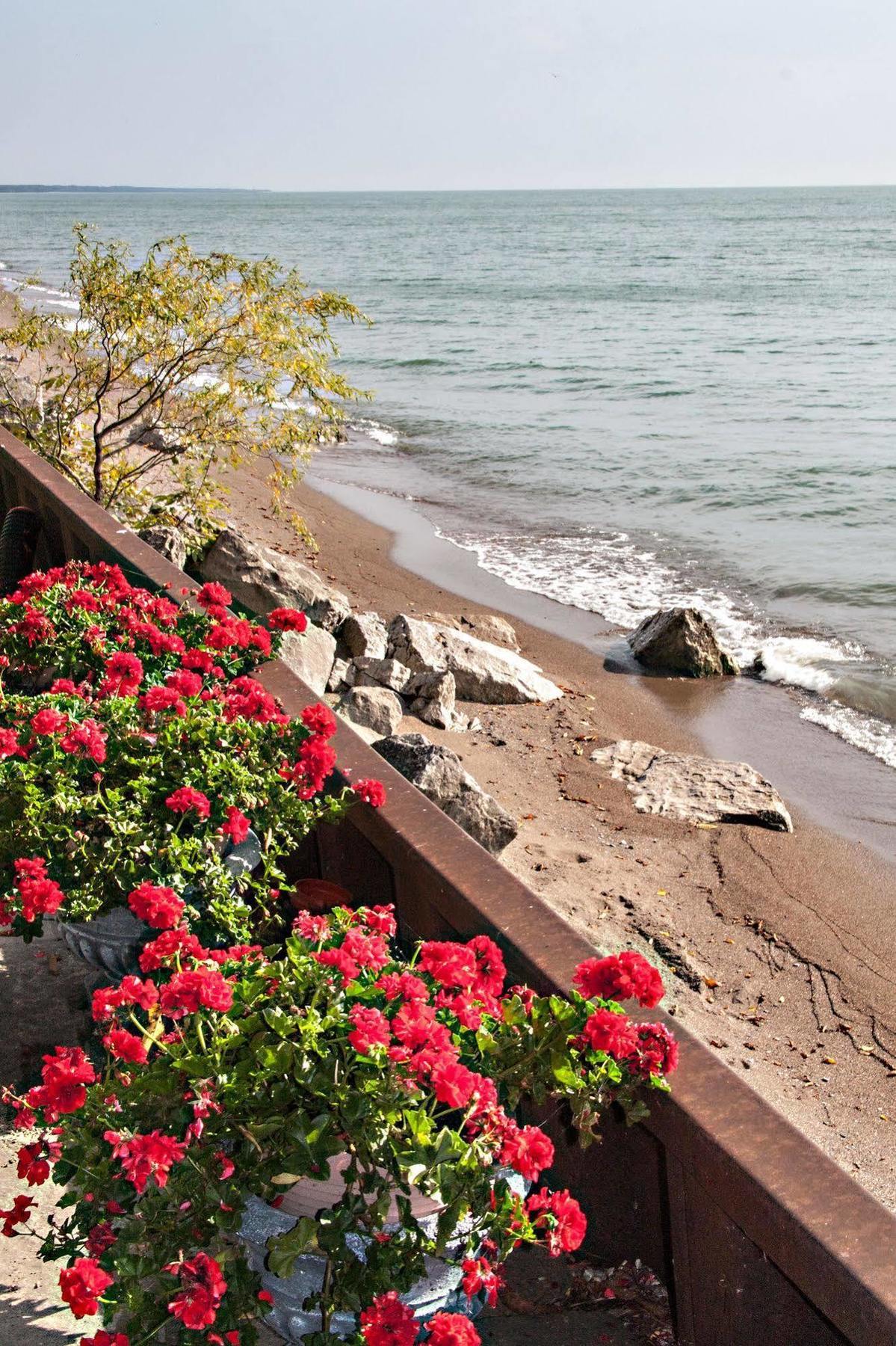 Point Pelee Lakeshore B&B Leamington Bagian luar foto